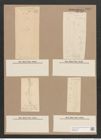 Pleurosigma var. brebissonii emtpy (de-Toni-Nr.: Genus 13, Species 1063) Zeichnungen Sammlung Grunow Nr. 1923 (NHMW-BOT-W0369050)